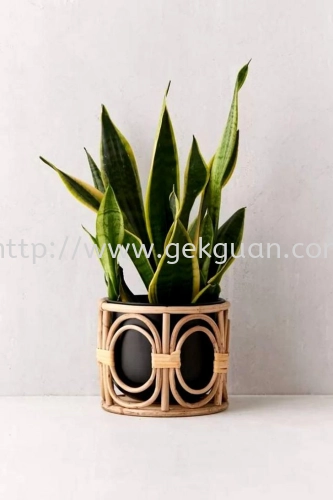 RAP 002 - RATTAN PLANTER