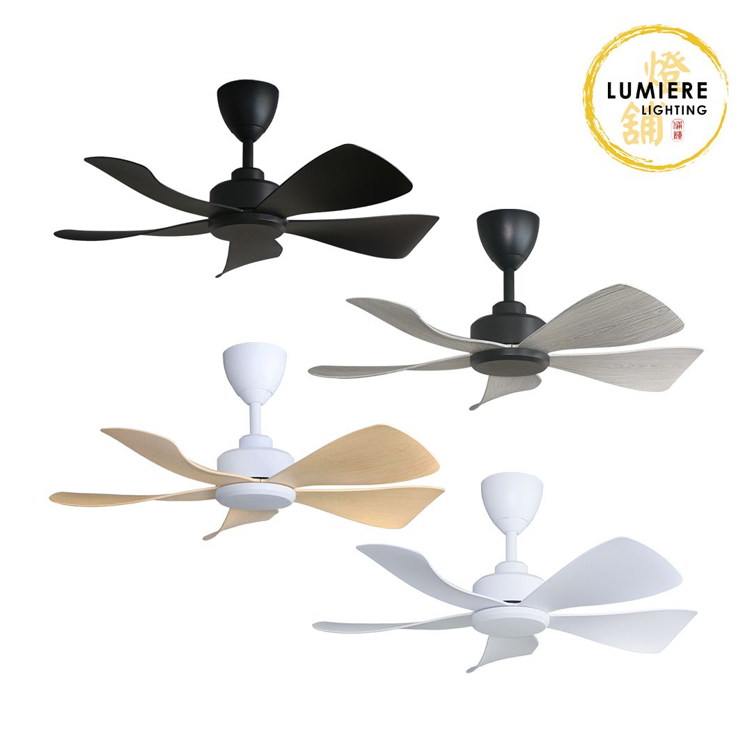Alpha Fan AX80-5B/56