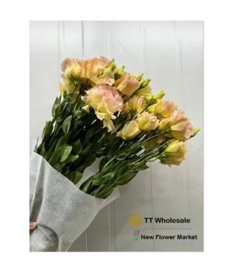 Buy Lisianthus (Eustoma) Flowers Online – Stylish & Fresh