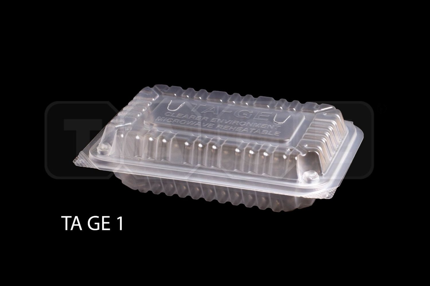 TAGE PP Lunch Box