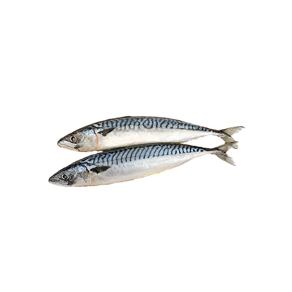 Frozen Mackerel Supplier Malaysia | Cheong Vege