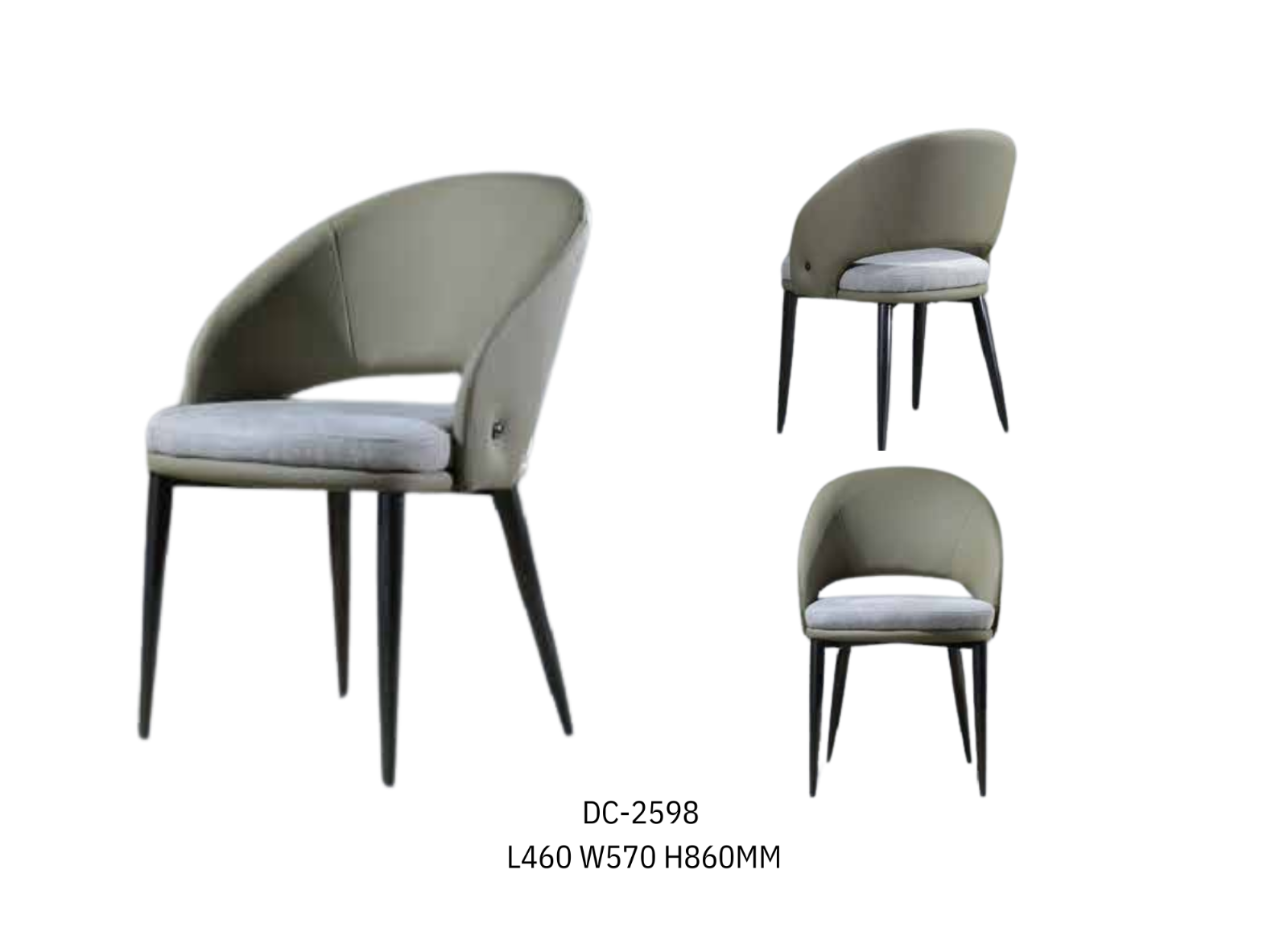 DINING CHAIR (PLZ DC-2598)