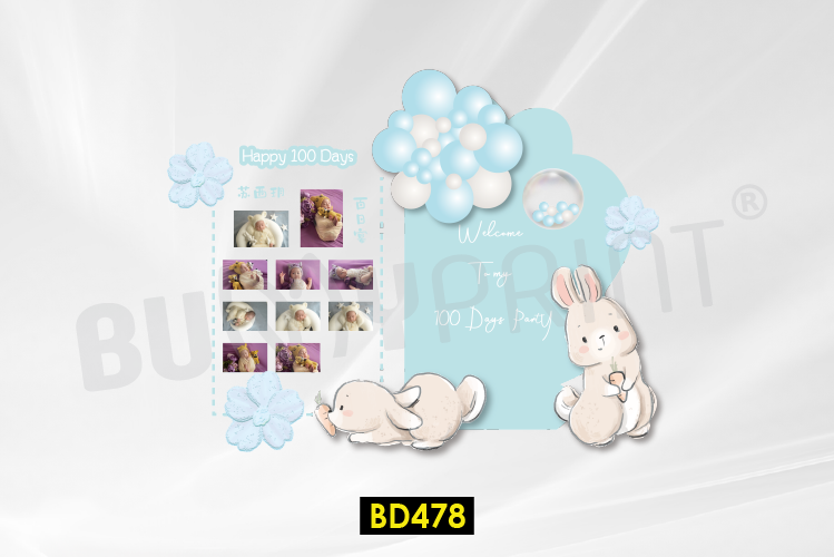 Birthday 478-01