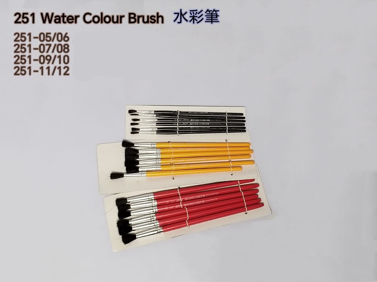 251 WATER COLOUR BRUSH