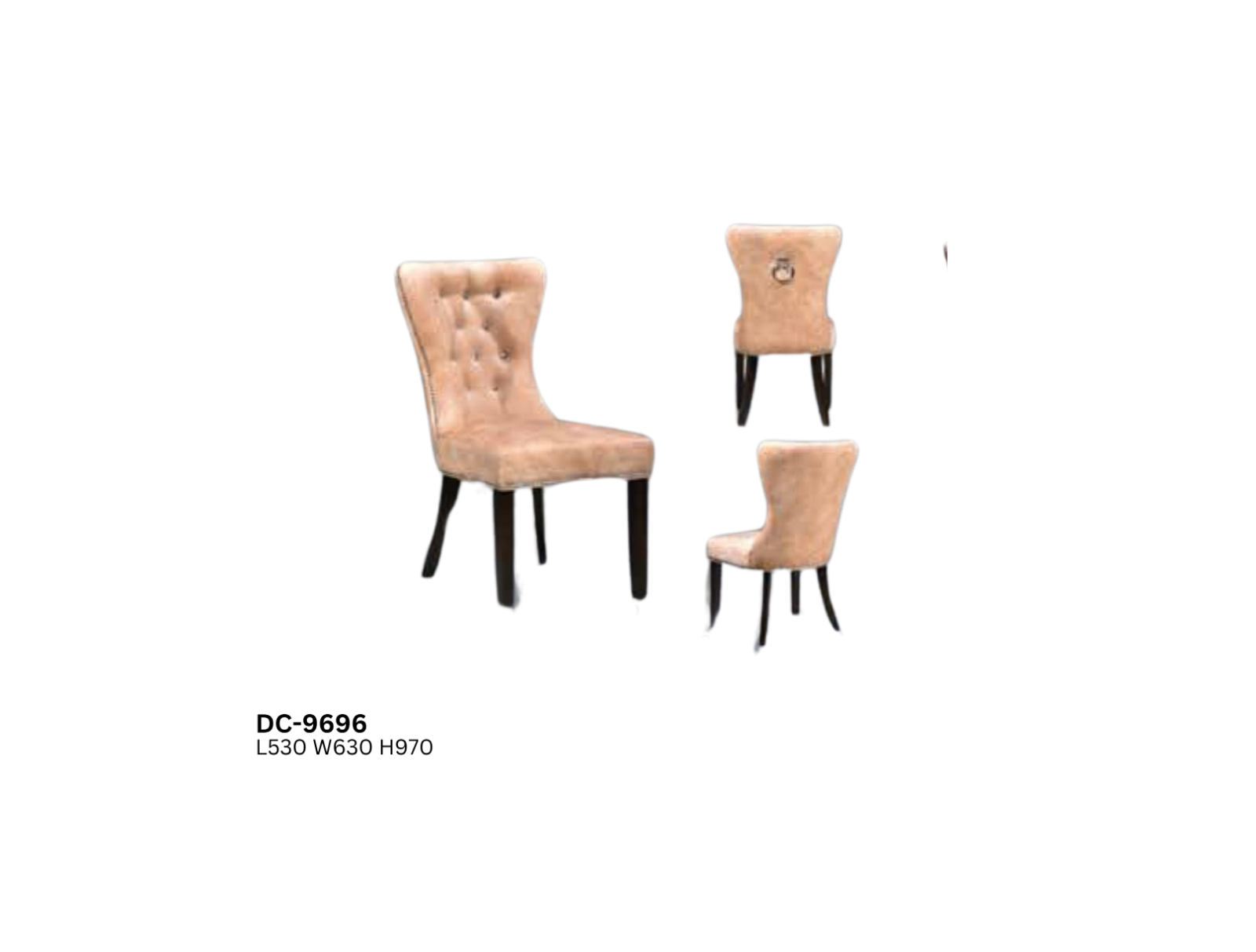 DINING CHAIR (PLZ DC-9696)