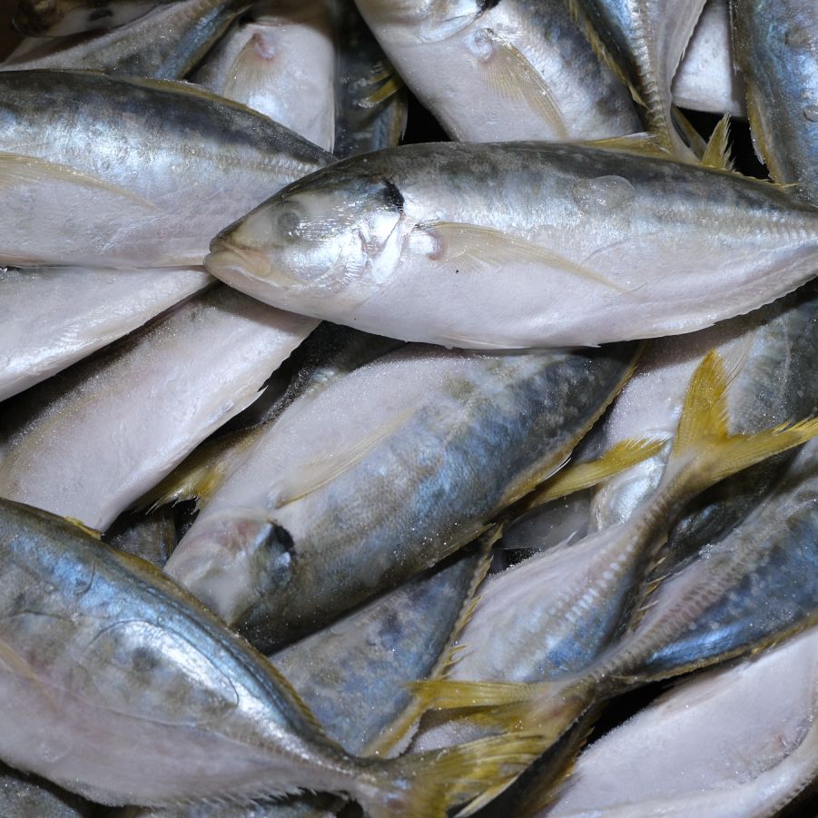 Retail Frozen Seafood