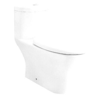 Wash Down One Piece Flush Toilet C-1390 S/P