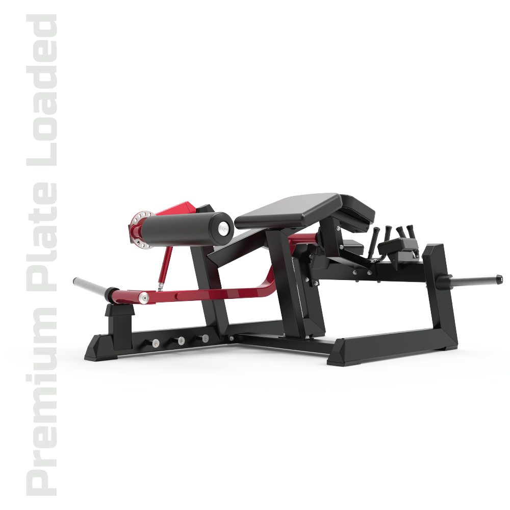 ECP604 PRONE LEG CURL