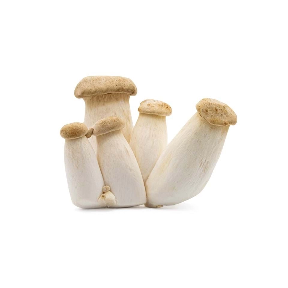 King Oyster Mushrooms 杏鮑菇 300g (限麻坡區/Only Muar)