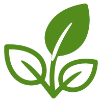 Eco-Friendly Materials