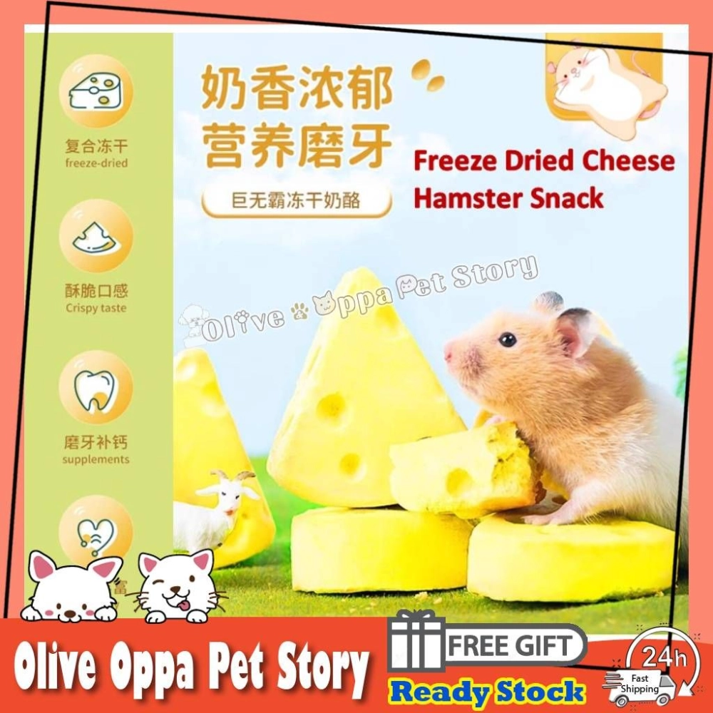 Freeze Dried Cheese Hamster Snacks Nutritious Cheese Cube for Small Pets Hamster Snack Treat  宠物磨牙冻干芝士零食