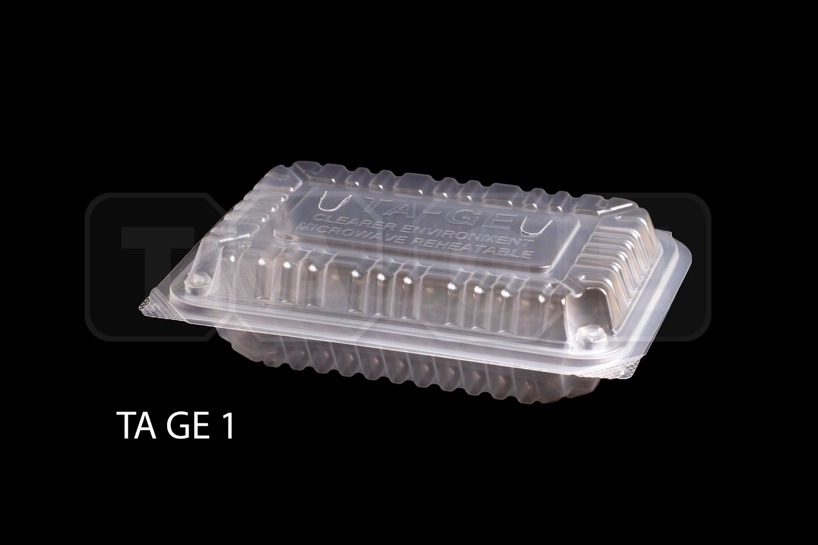 SMALL PP Plastic Lunch Box