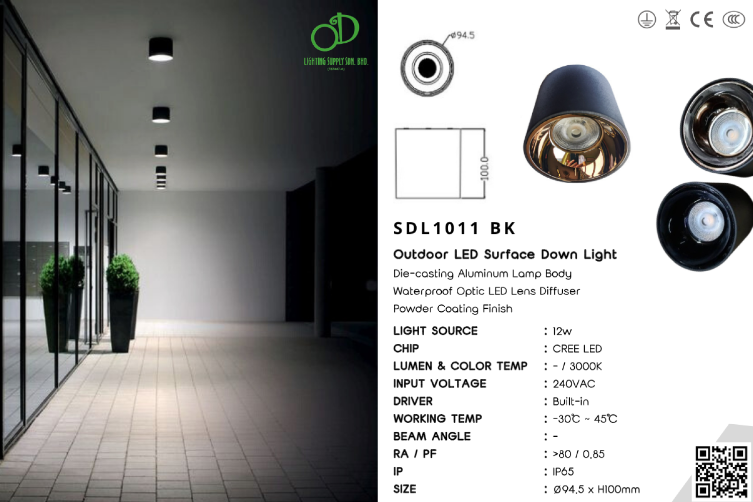 Outdoor Surface Downlight (SDL1011 BK & CP)