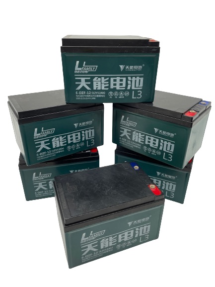 Lead-Acid Battery