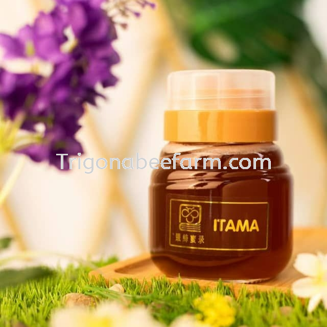 Itama Honey 一大马银蜂蜜