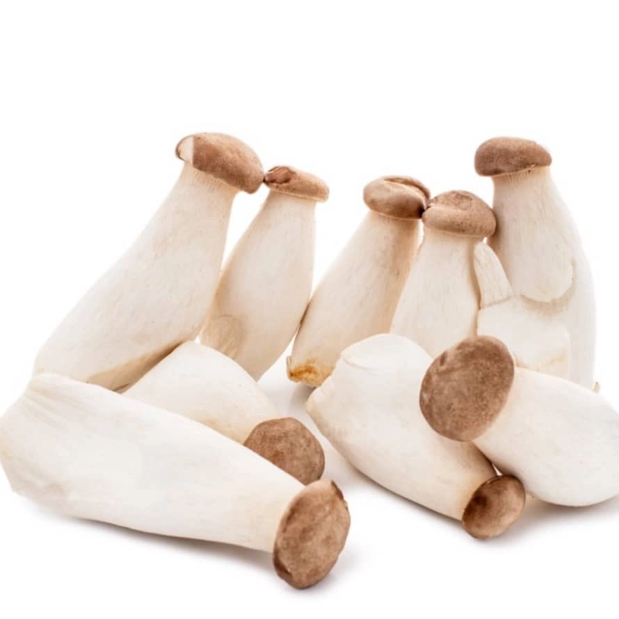 Mini King Oyster Mushroom 迷你杏鮑菇 300g (限麻坡區/Only Muar)