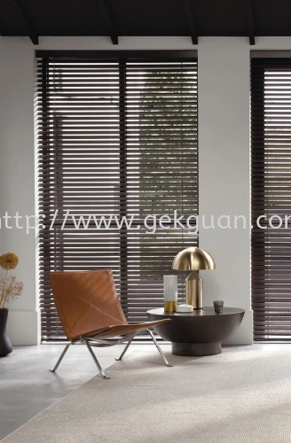 Venetian Blind 