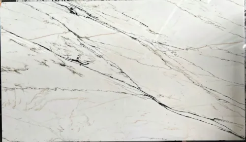 Calacatta Paonazzo Marble