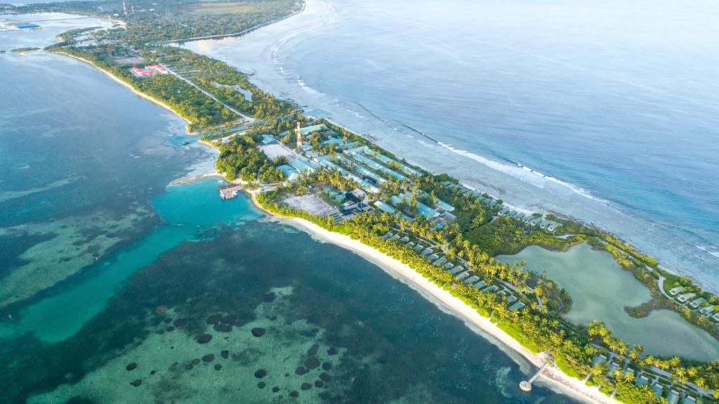 Canareef Resort