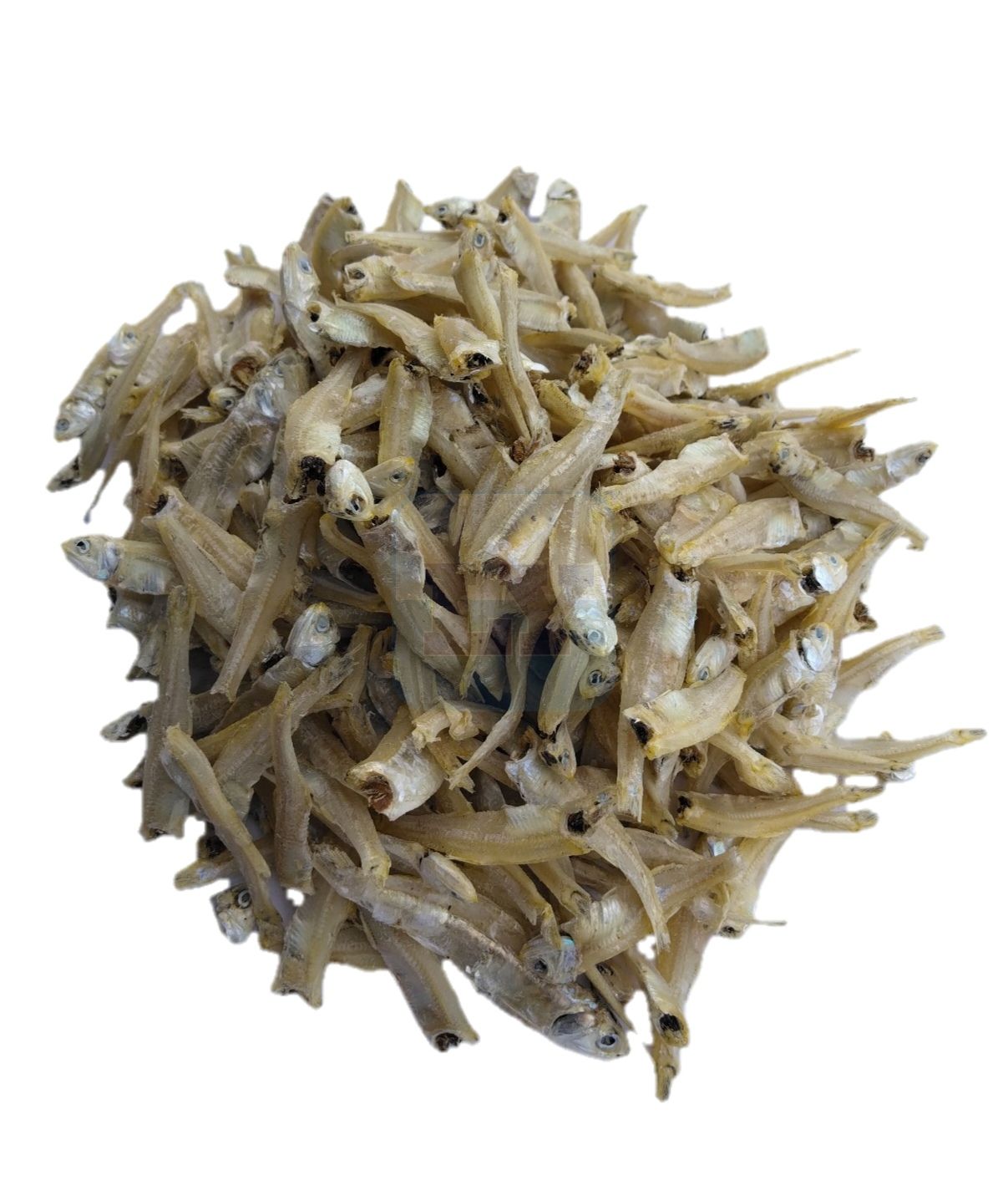Ikan Bilis PP 白北鱼