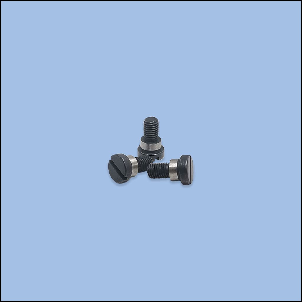 SCREW (422S20006)