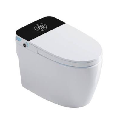 Mocha Intelligent Water Closet
