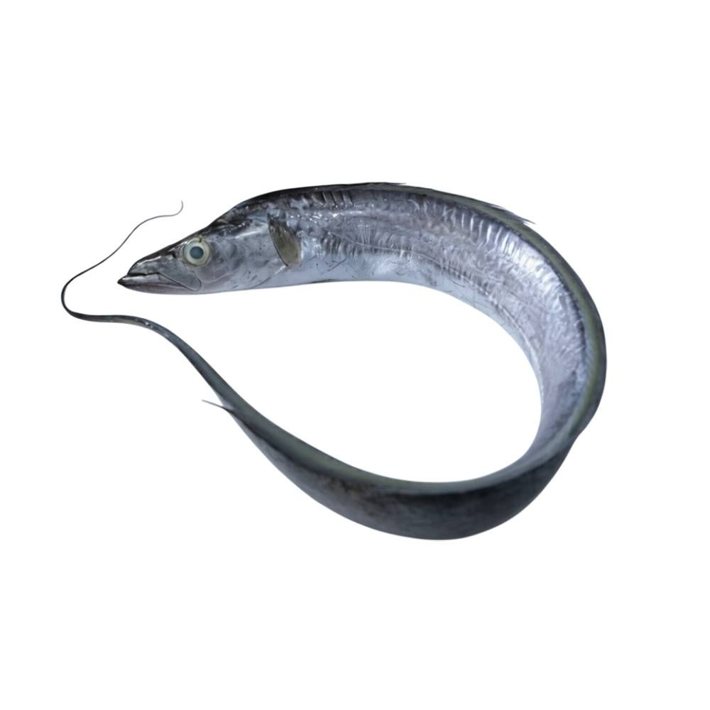 Frozen Ribbonfish