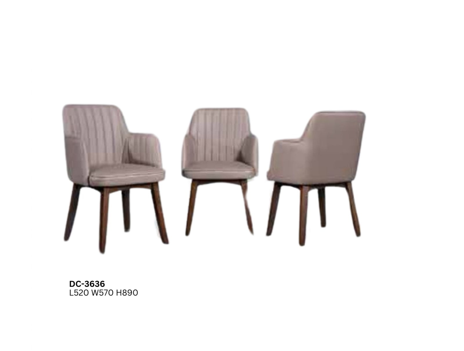 DINING CHAIR (PLZ DC-3636)