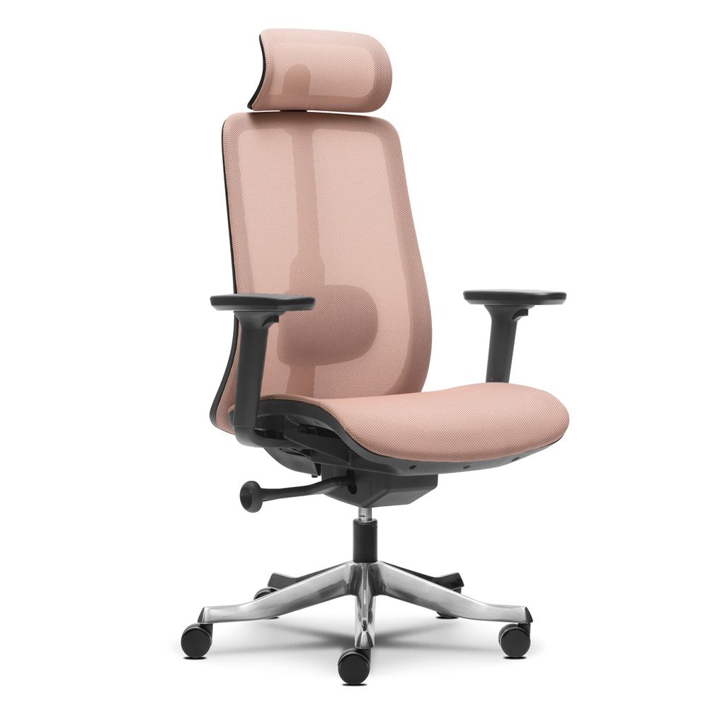 Office Mesh Chairs / Ergonomic Mesh Office Chair
