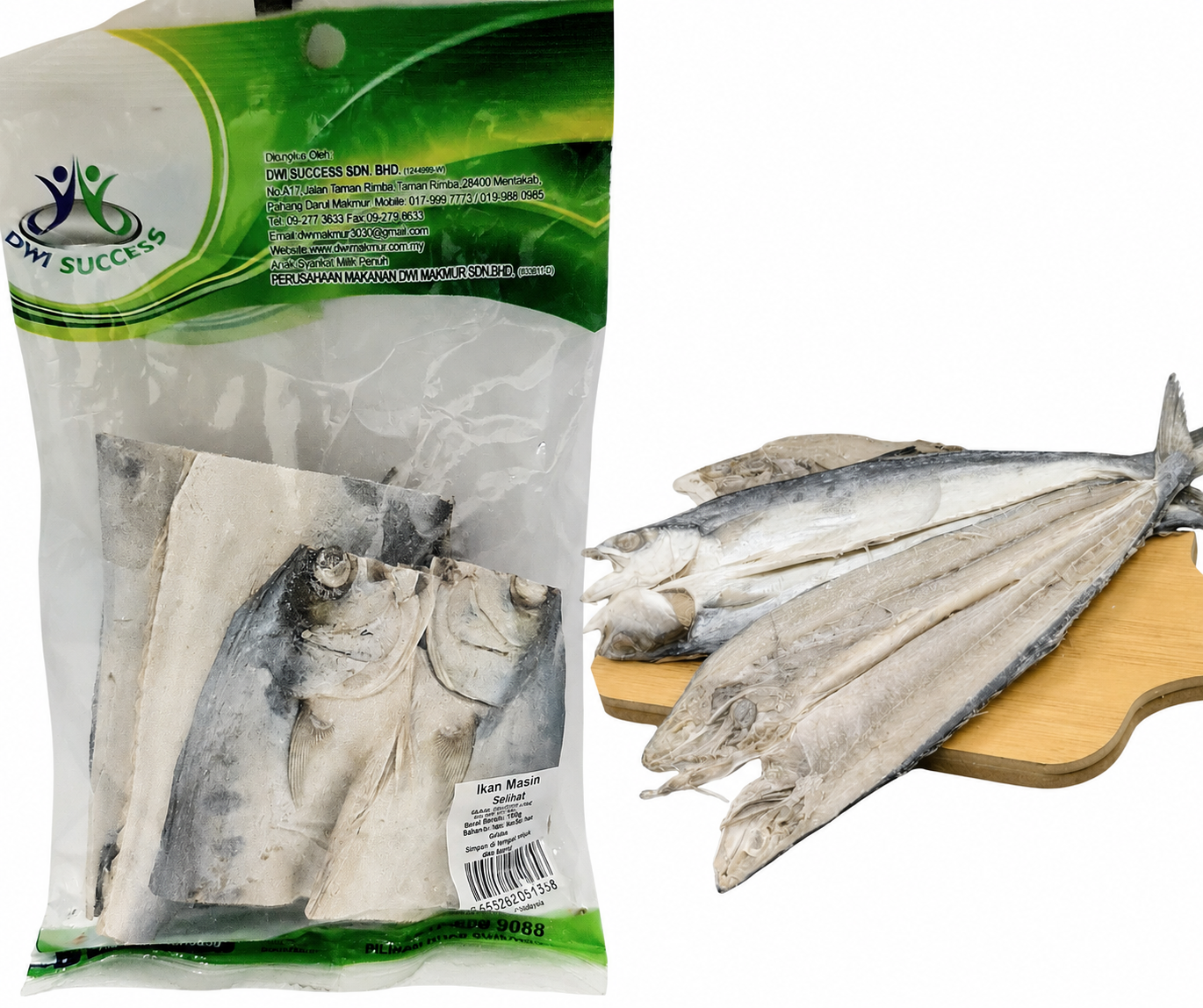Megalops Cyprinoides 130 Grams RM5.50 X 5 Units C.Dwi Success