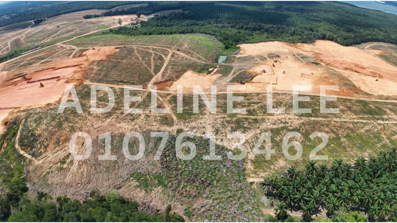 Tanjung Langsat Industrial Land for Sale | Freehold 40-Acre Medium & Heavy Industrial Site in Johor JS-SEZ Near Ports & Airports