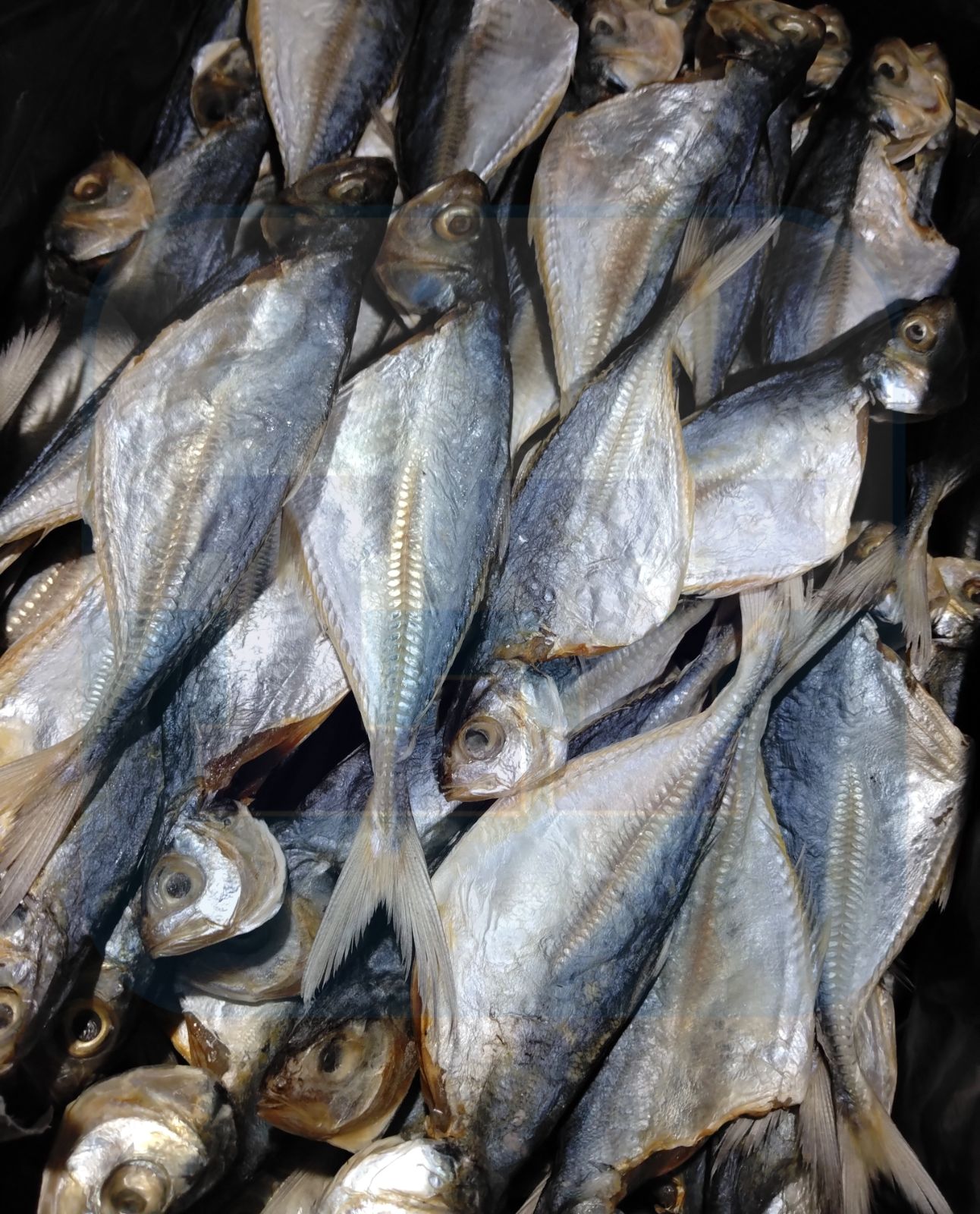 Ikan Masin Kuning