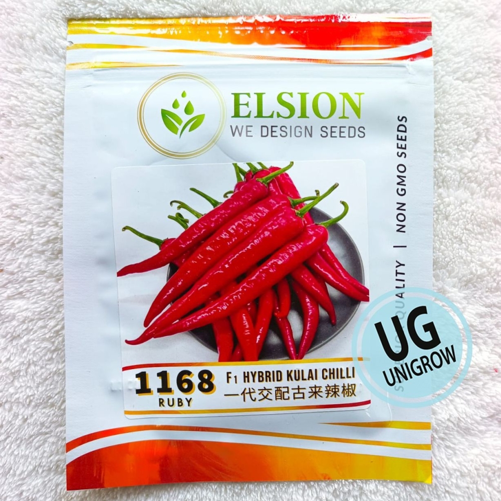 1168 F1 Chili Kulai Ruby (10gm) 一代交配古来辣椒