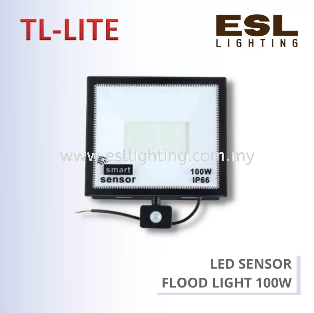 FLOOD LIGHT