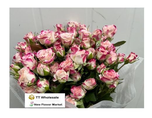 Fresh Spray Rose | [New Flower Market]