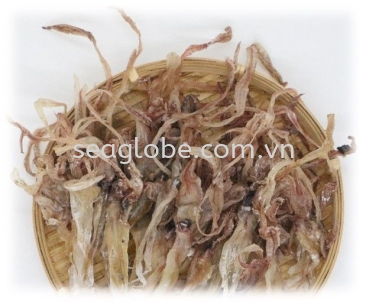 Dried Cuttlefish Head