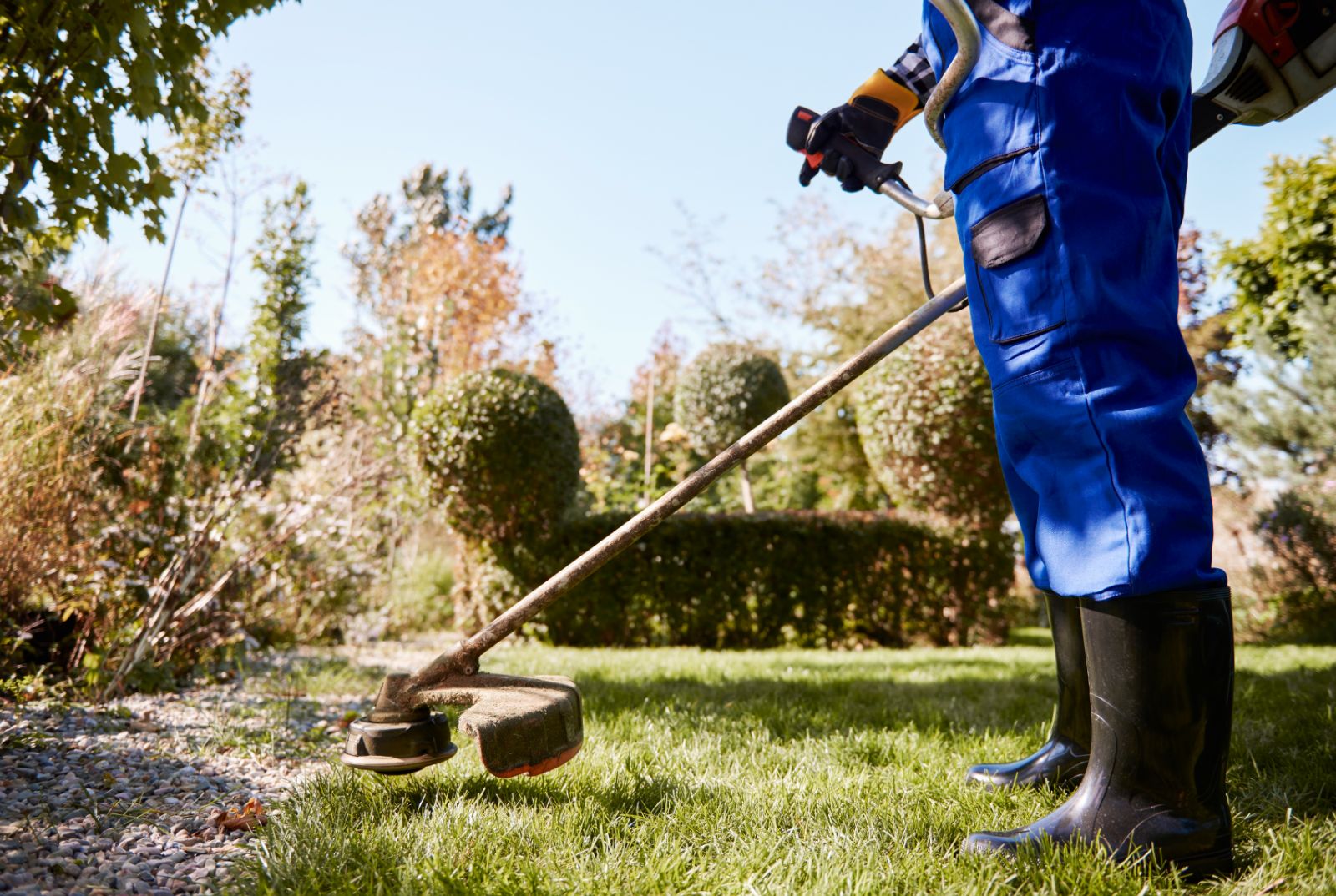 Commercial Landscape Maintenance Service 