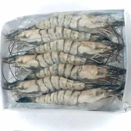 Frozen Tiger Prawn (14 pcs) (1kg@Packing)