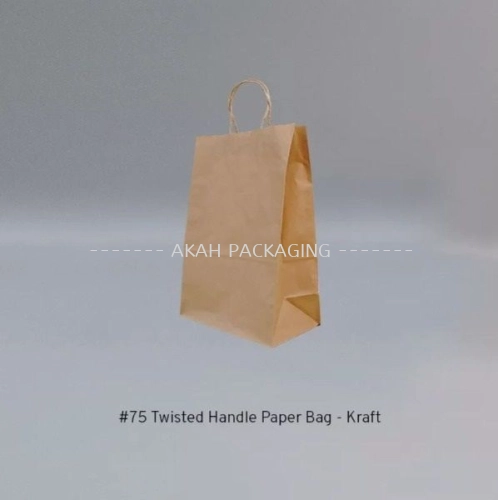 (40.5cm(H) x 28cm(L) x 15cm(W)) Twisted Handle Paper Bag