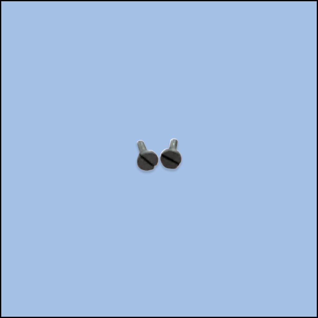 SHOE & SPRING PIVOT SCREW 2901052 (LTG-A226)