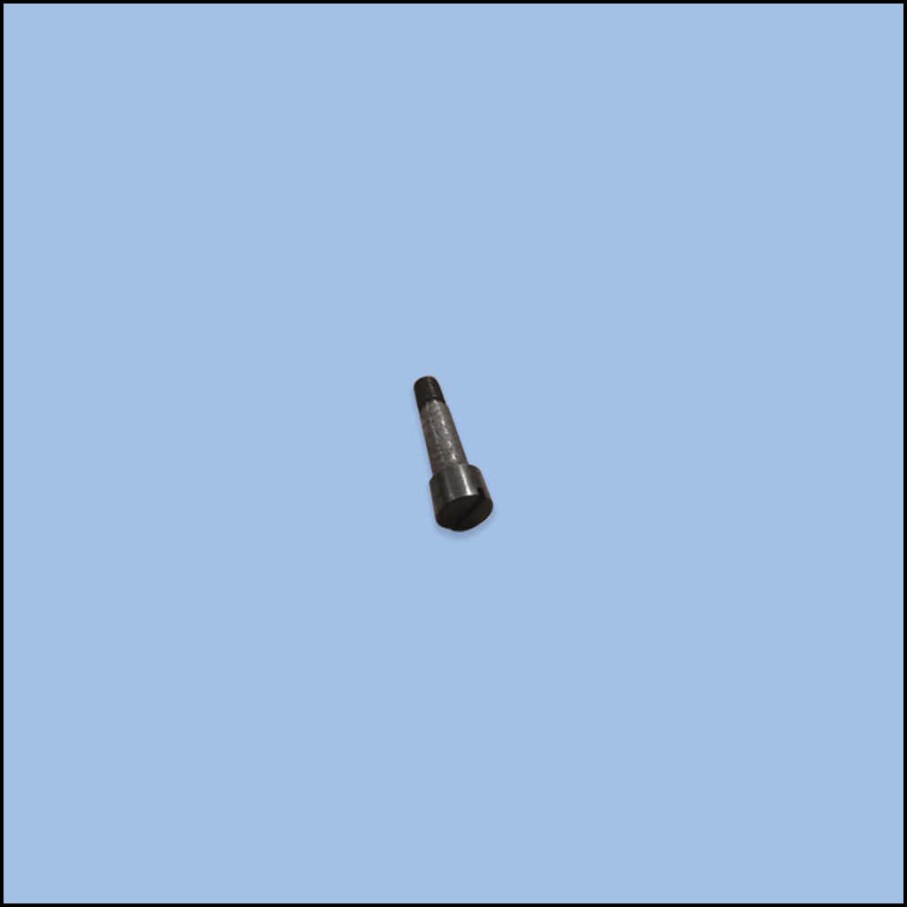 SCREW (84-5820-0)