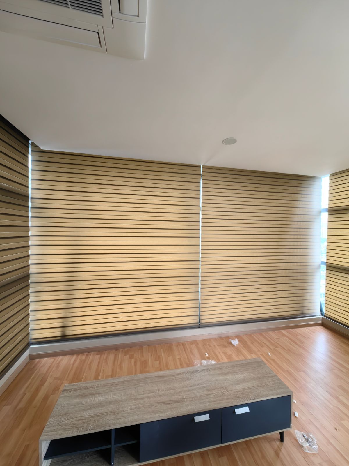 Zebra Blind