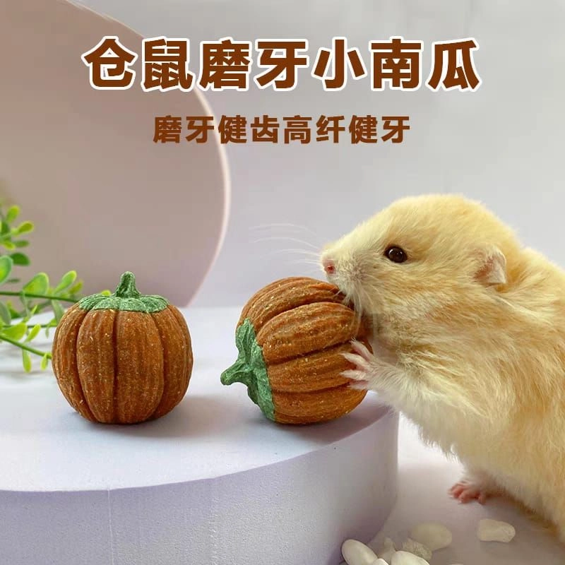 Hamster snack molar carrot mini carrot / mini strawberry / pumpkin Hamster Dental chew仓鼠造景磨牙小萝卜 小草莓 仓鼠磨牙南瓜