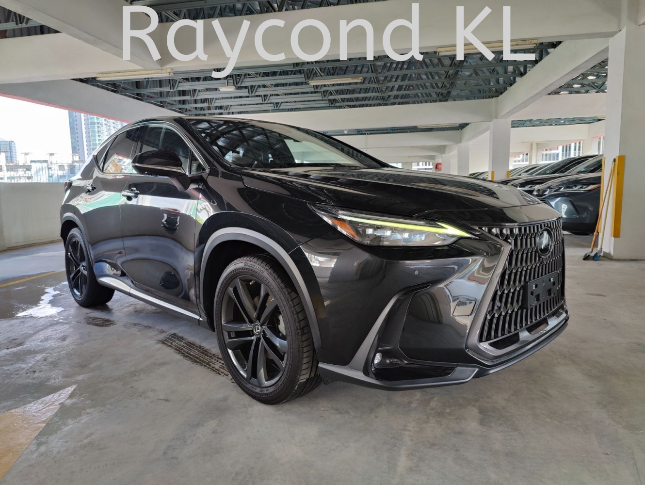 2023 LEXUS NX250 VERSION L (LUXURY) (1124)