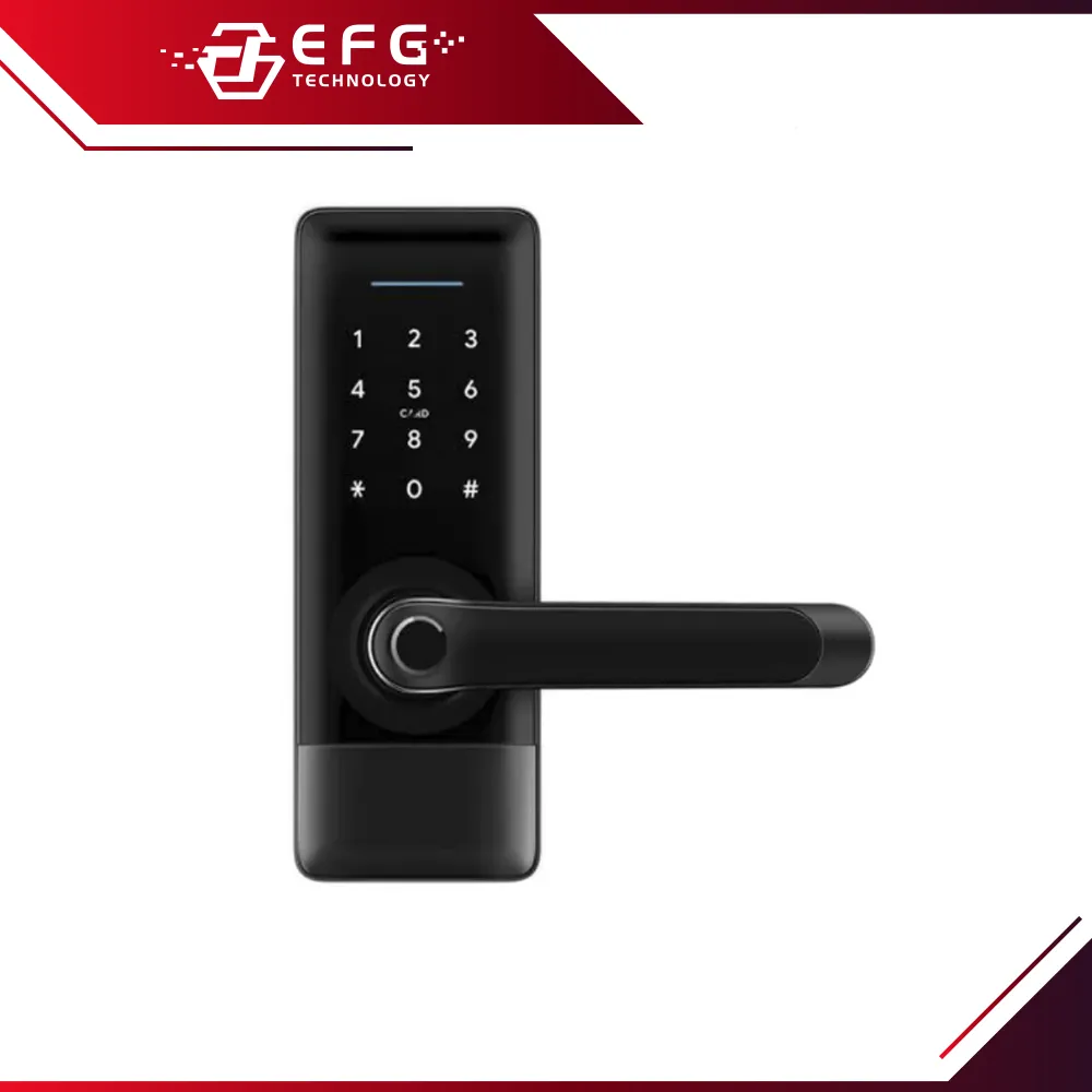 H1B-TTB Smart Door Lock