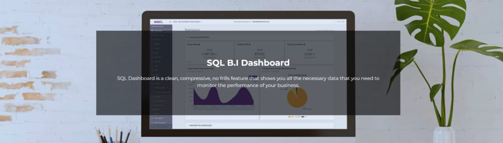 SQL B.I Dashboard