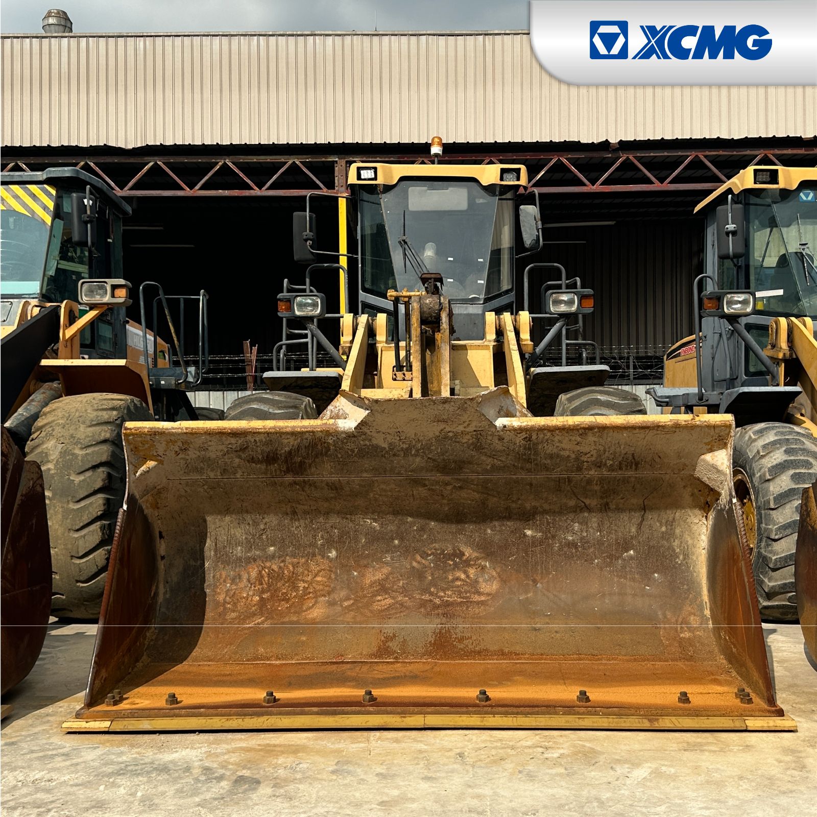 XCMG ZL50G VII (0259)