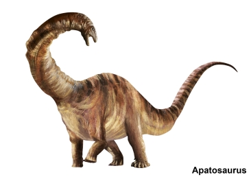 Apatosaurus