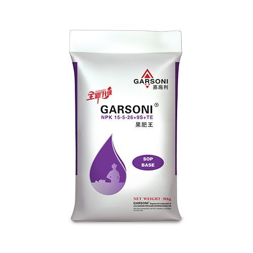 Garsoni 15-5-26+9S+TE