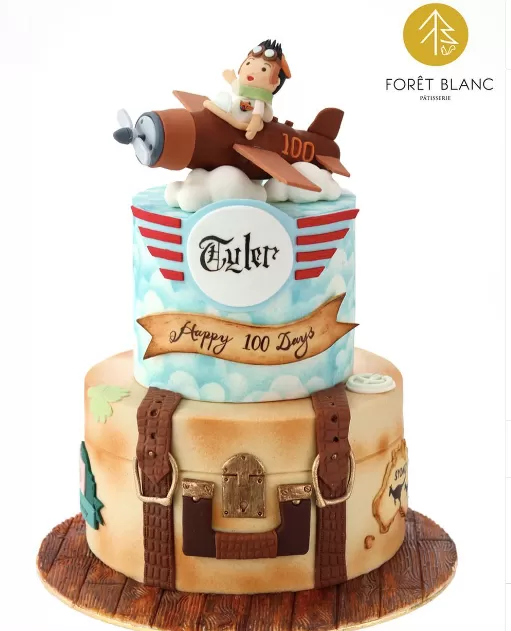 Pilot Baby Cake